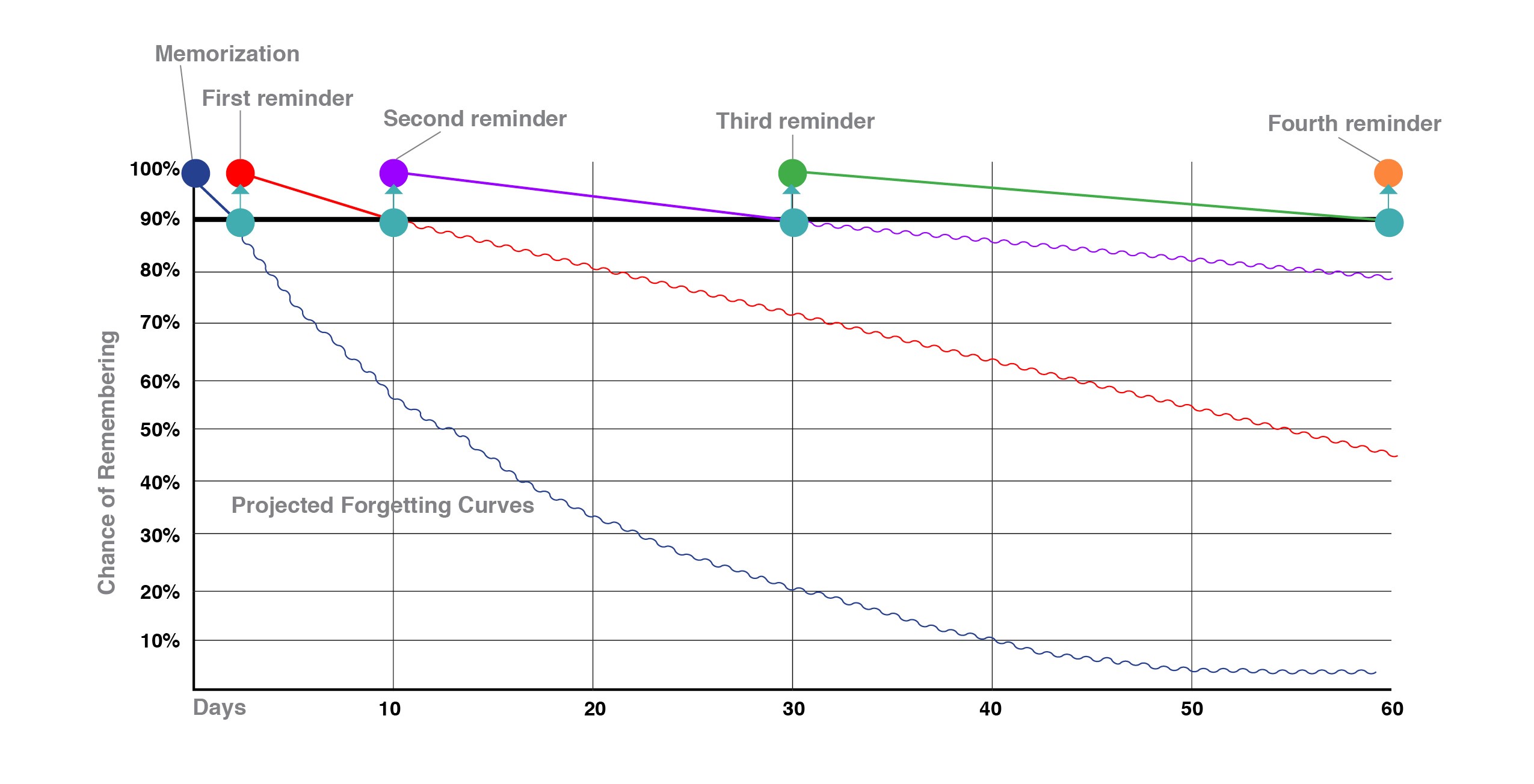 Forgetting curve spaced reinforcement