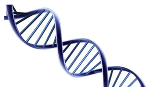 tapping-into-individual-sales-dna